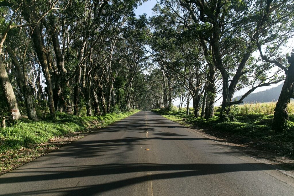Traversing the Road Ahead