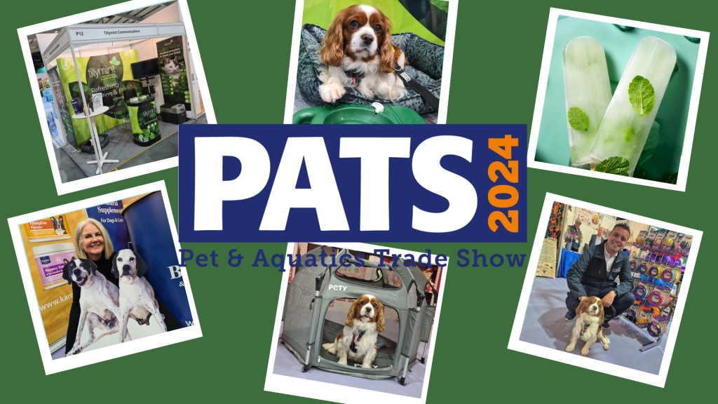 PATS 2024 - Key Takeaways from the UK's Premier Pet Trade Show